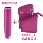 Fuchsia Flair Bundle