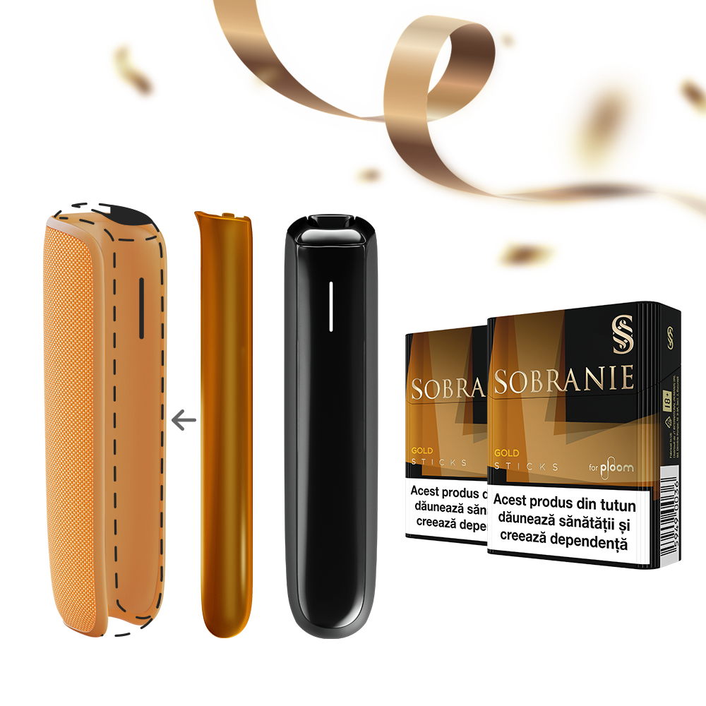 The SENSATIONAL Festive Kit