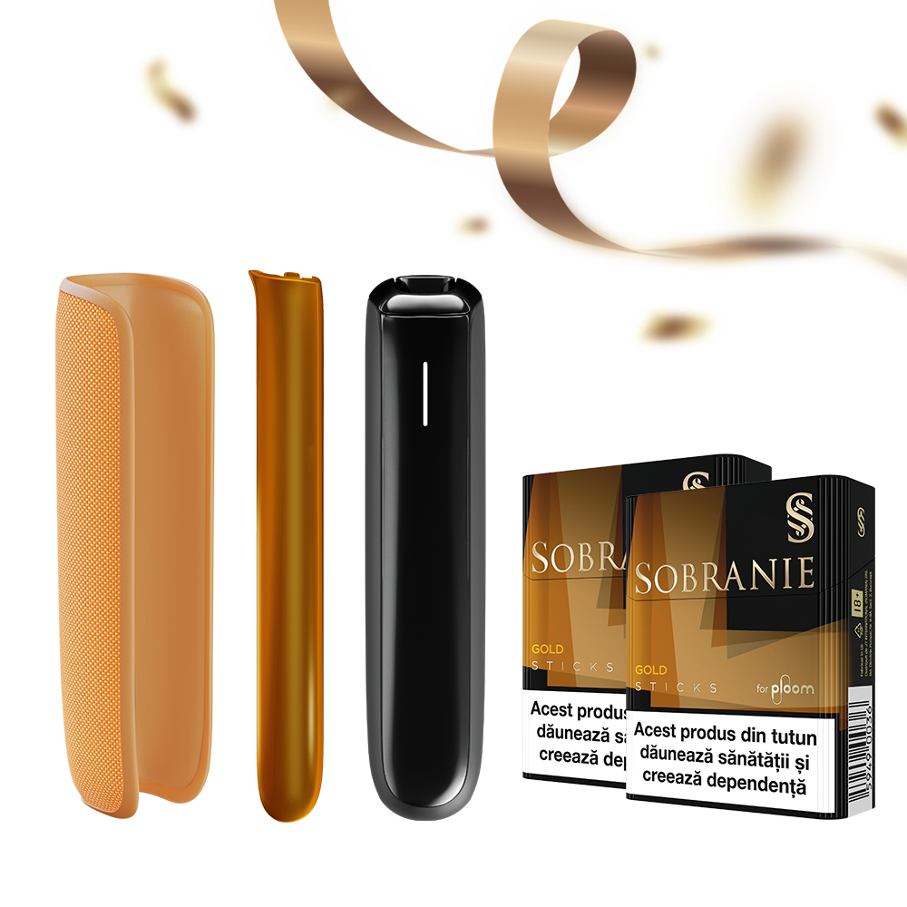 The SENSATIONAL Festive Kit